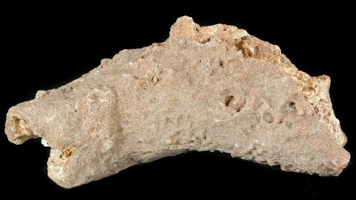 Fulgurite - Petrified Lightening #48369